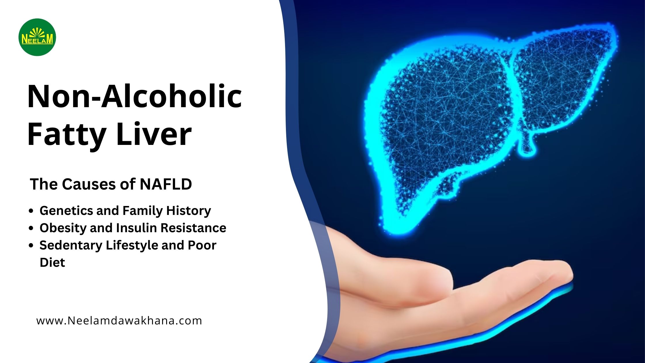 You are currently viewing Nonalcoholic Fatty Liver Disease Symptoms and Causes